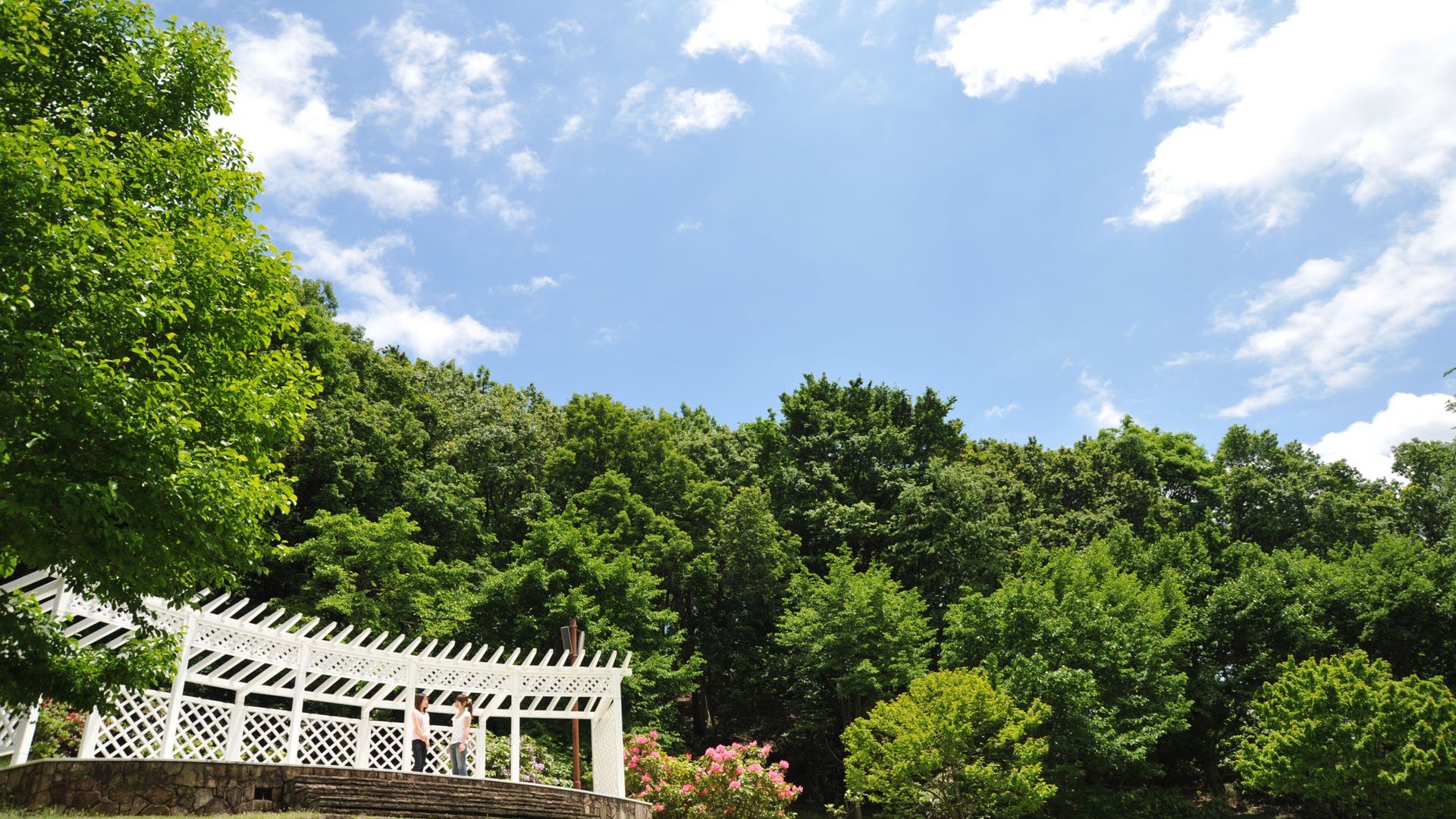 🌳 나나사와 삼림공원 (七沢森林公園) 이미지 7